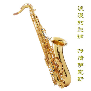 地下偶像sans动画免费观看完整版横风动漫
