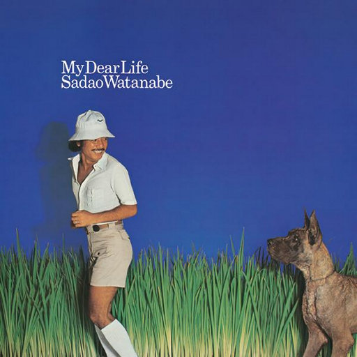 地下偶像sans动画免费观看完整版横风动漫
